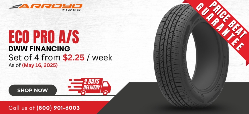 Arroyo Eco
Pro AS Tires