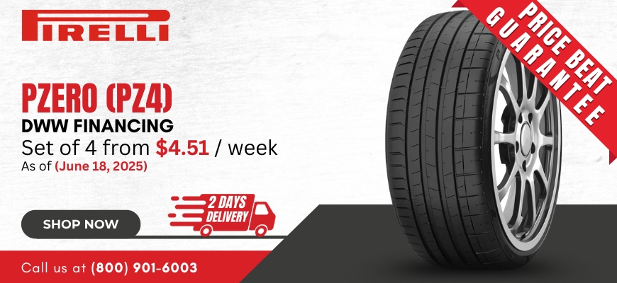 Pirelli P
Zero PZ4 Tires