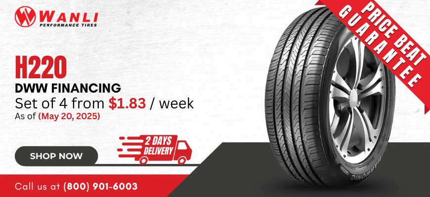 Wanli H220
tires