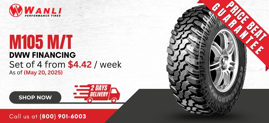 Wanli M105MT
tires