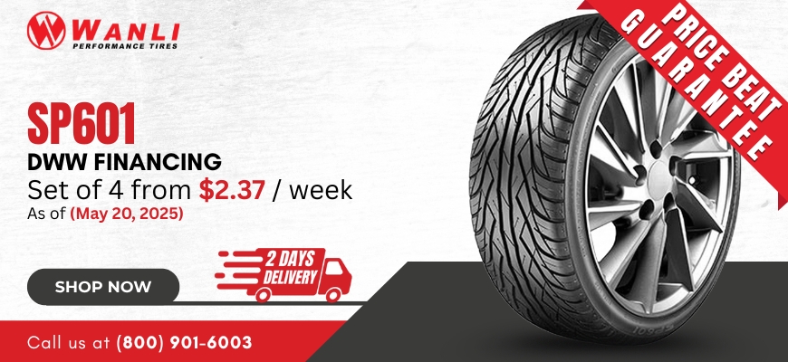 Wanli SP601
tires
